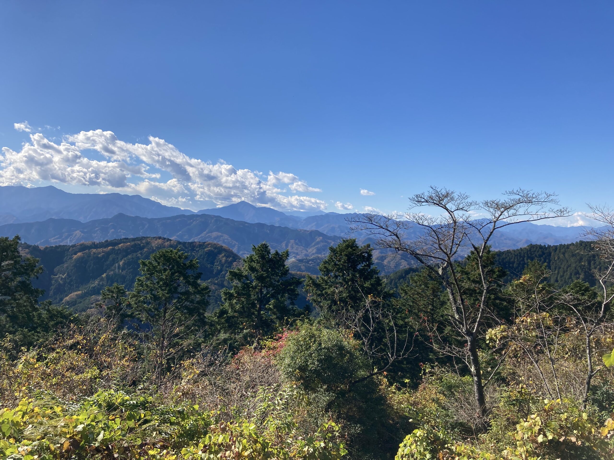 高尾山に行ってきました！